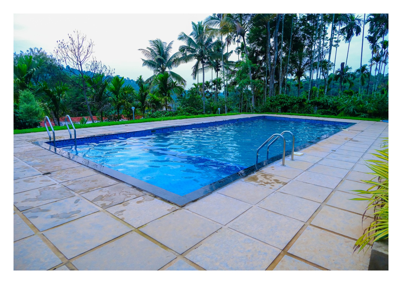 Collection O 811106 Ashiyana Homes, Kakkanad Kochi, Kochi